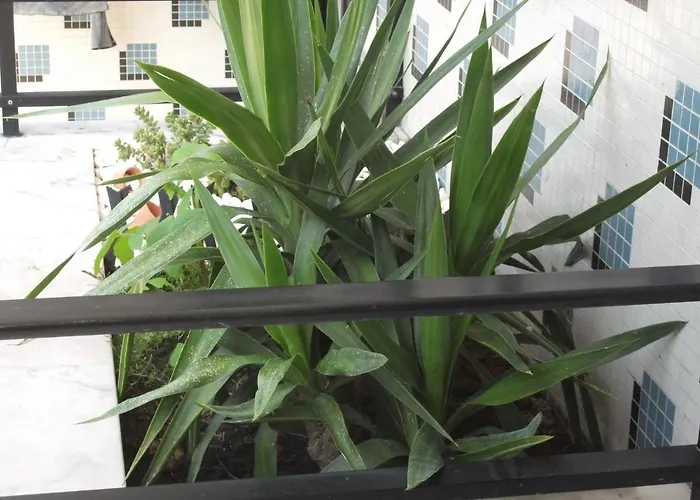 Alojamentos Turismo E Negocios Lejlighed *